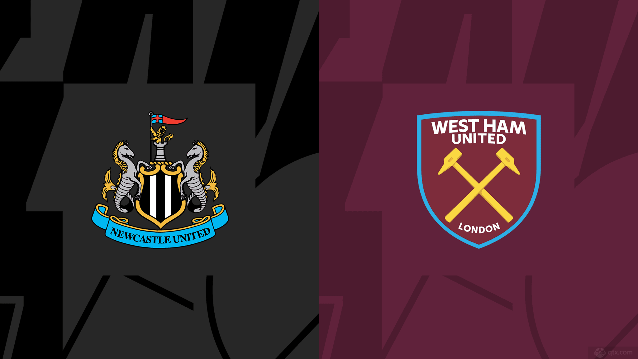 队的年轻球 队的年轻球